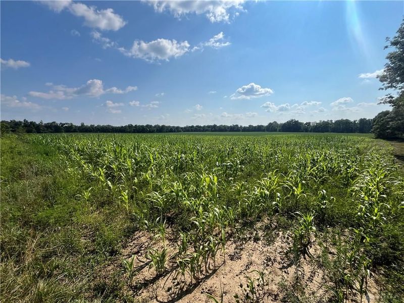 0 Raymond, Marysville, OH 43040 Photo 10
