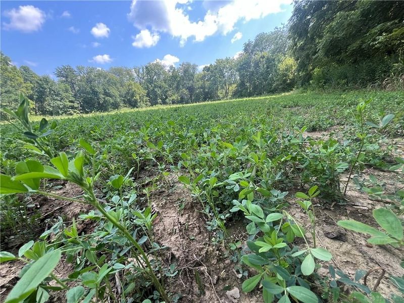 0 Raymond, Marysville, OH 43040 Photo 15