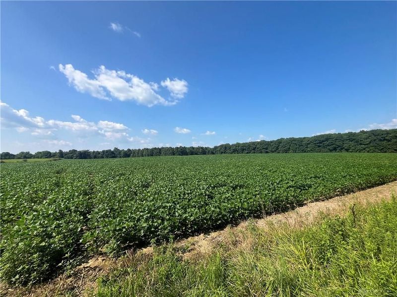 0 Raymond, Marysville, OH 43040 Photo 17