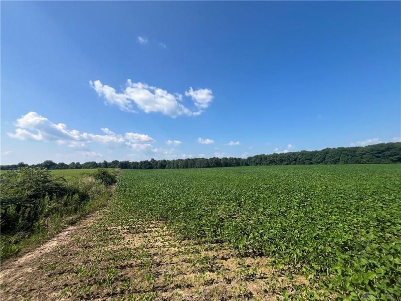 0 Raymond, Marysville, OH 43040 Photo 18