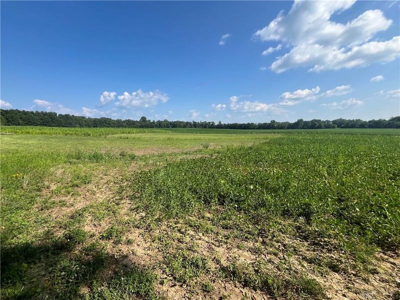 0 Raymond, Marysville, OH 43040 Photo 20