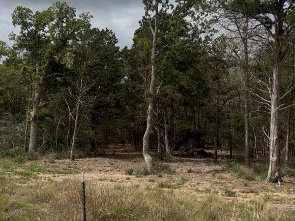 Lot 15 Antioch RD , Paige, TX 78659