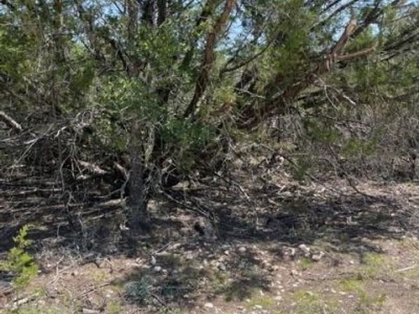 TBD CR 2644 , Lometa, TX 76853