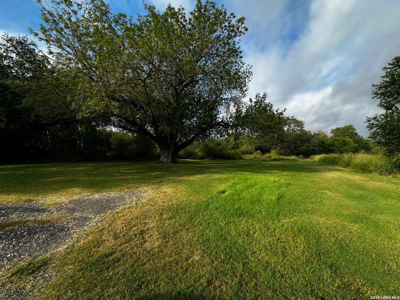 208 S Dickson, Poth, TX 78147 Main Photo