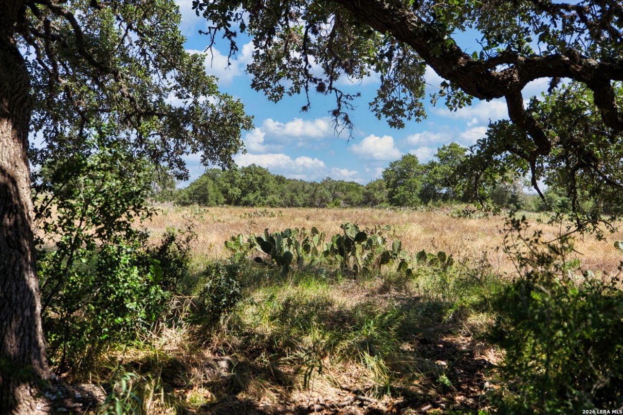 Lot 15 Thornton Ridge Dr, Kerrville, TX 78028 Main Photo