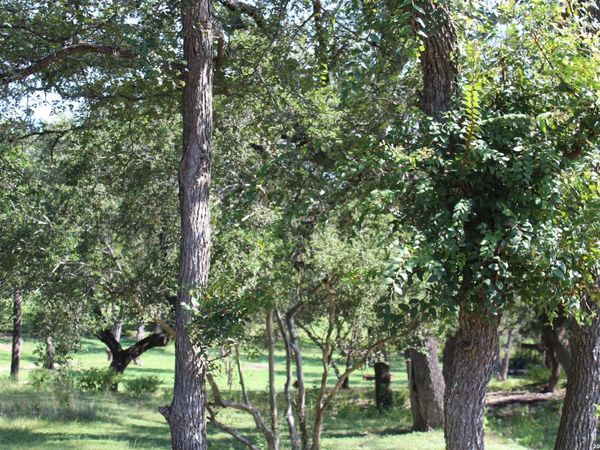 878 LEDGEVIEW DR., Canyon Lake, TX 78133