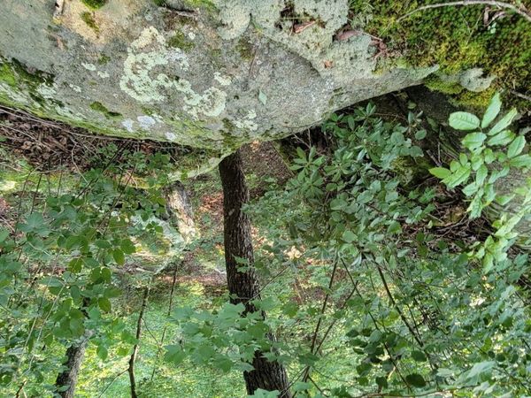 0 Preservation Drive, Lot 6 , South Pittsburg, TN 37380
