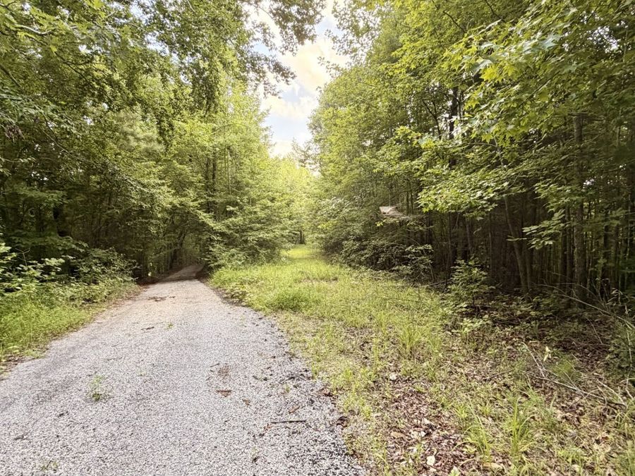 Property Image 69