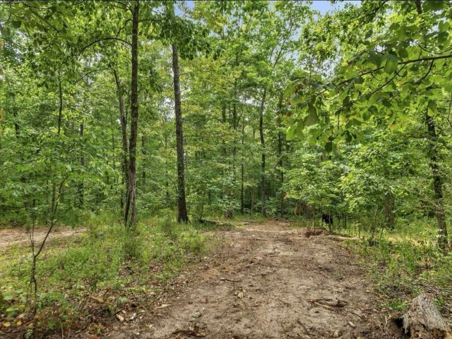 Property Image 35