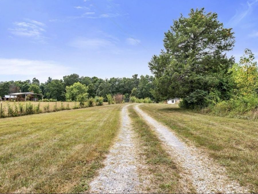 Property Image 39