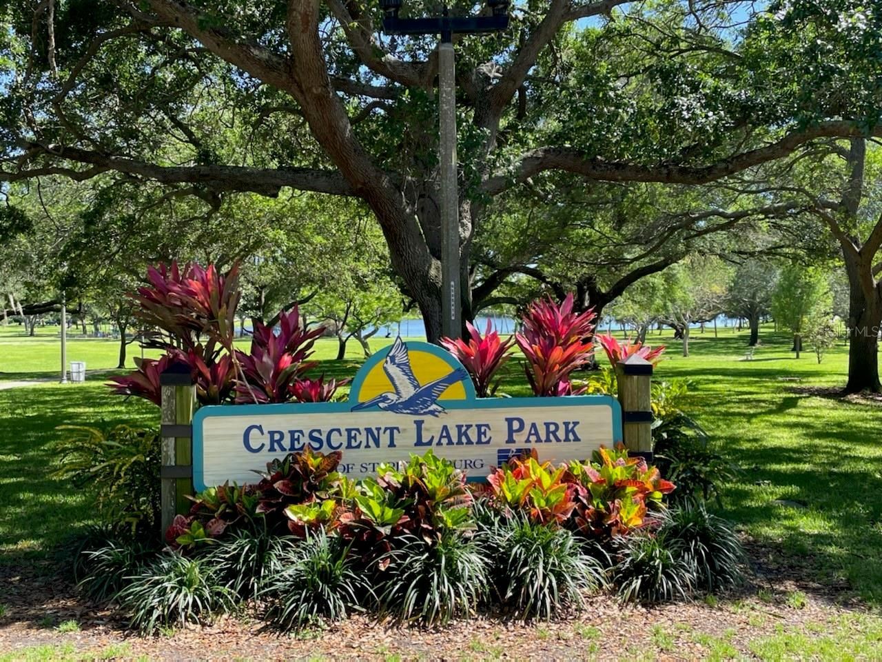 1601 11 Street N, Saint Petersburg, FL 33704 Photo