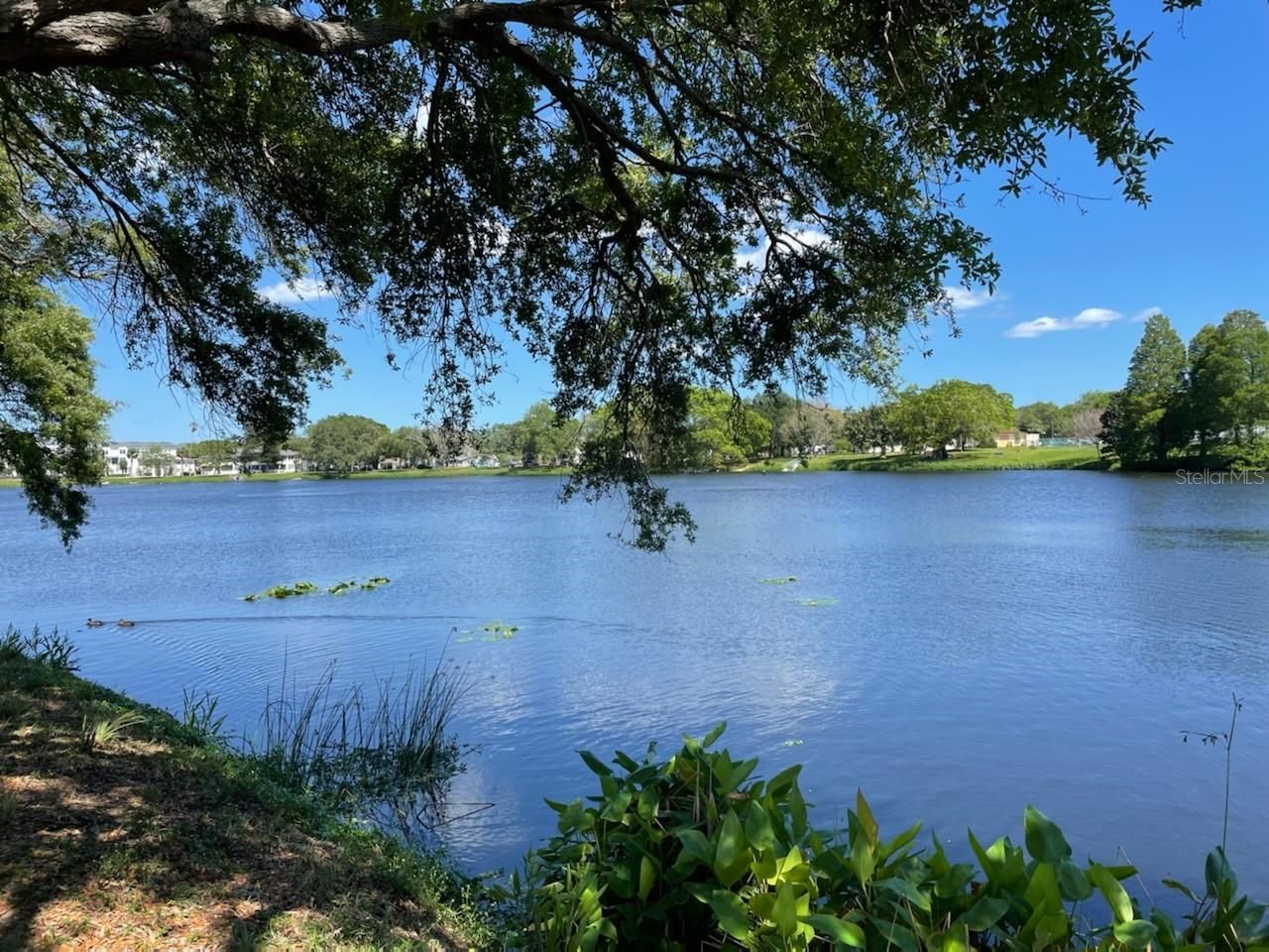 1601 11 Street N, Saint Petersburg, FL 33704 Photo