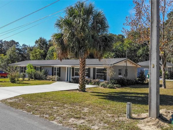 1517 N GRANDVIEW STREET , MOUNT DORA, FL 32757
