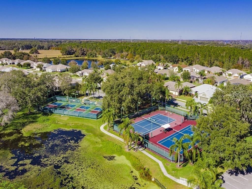 24403 Amberleaf Court , Leesburg, FL 34748 Photo