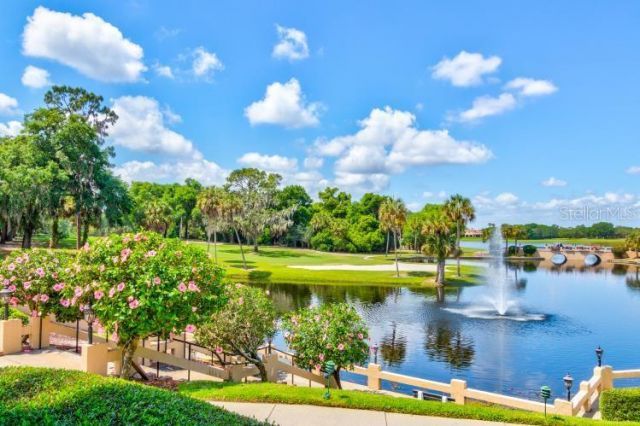 9219 San Jose Boulevard , Howey in the Hills, FL 34737 Photo
