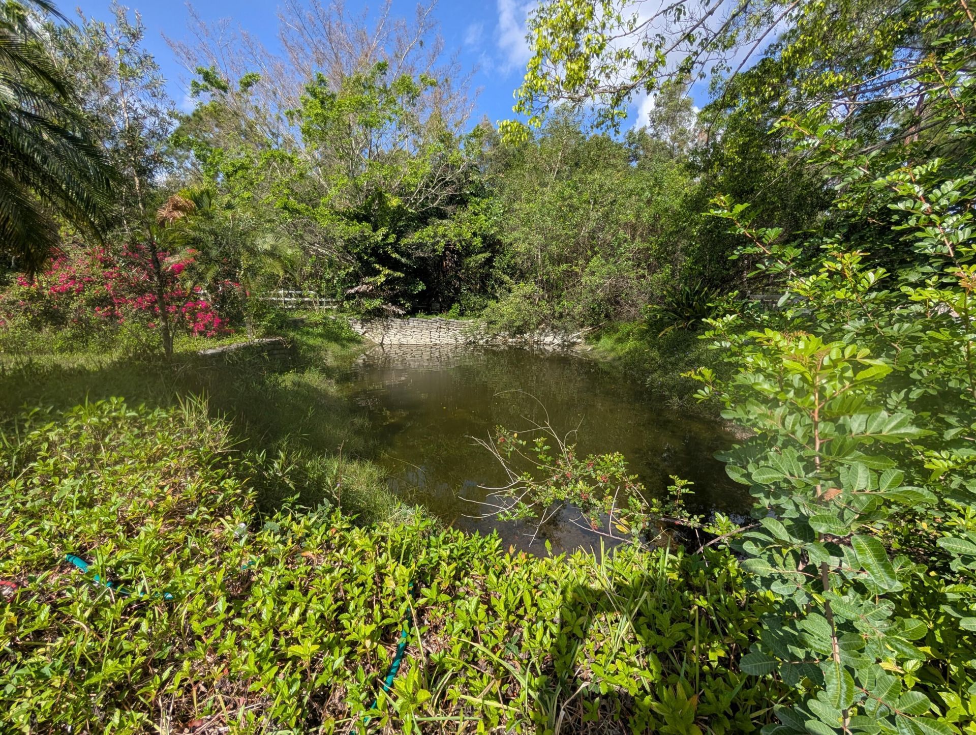 17681 93rd Road N, The Acreage, FL 33470 Photo