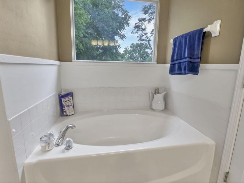 19 Spike Rush Court , Etna, OH 43062 Photo 54
