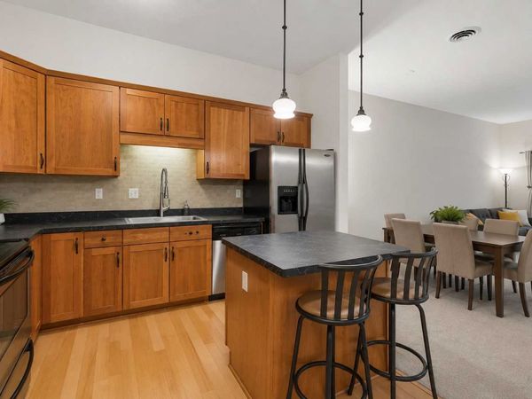 270 4th Street E, Unit 203, Saint Paul, MN 55101