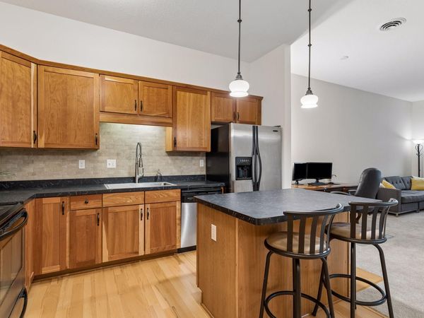 270 4th Street E, Unit 203, Saint Paul, MN 55101