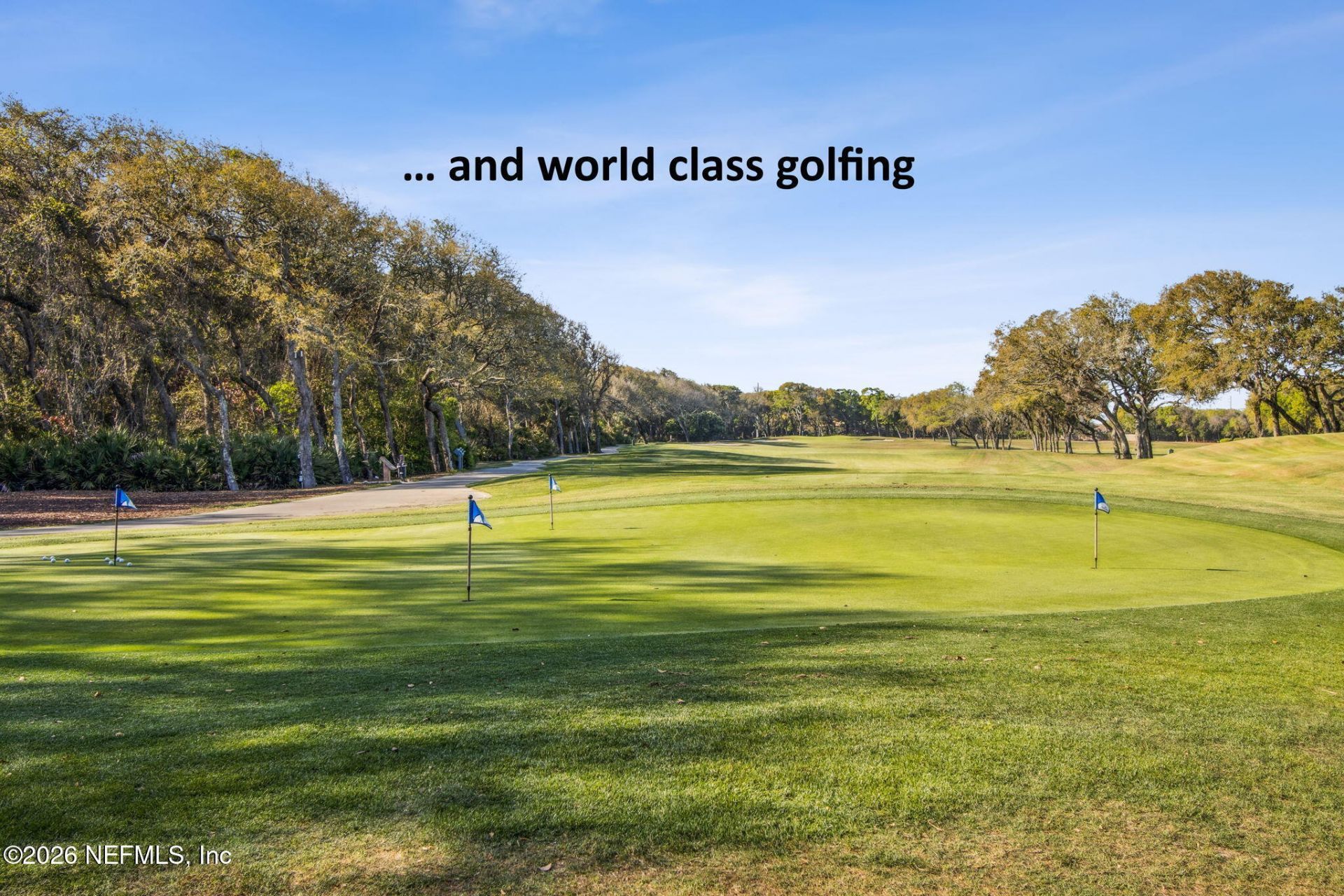 4776 Amelia Island Parkway, Unit 45, Fernandina Beach, FL 32034 Photo