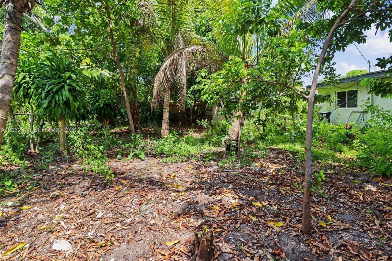 1155 NE 136th St, North Miami, FL 33161 Photo