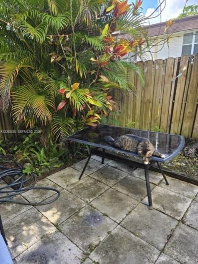 3320 Simms , Unit 11F, Hollywood, FL 33021 Photo