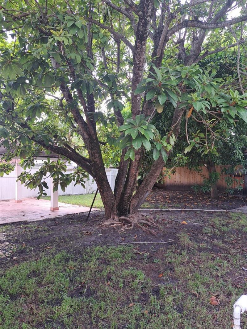 3062 SW 14th St , Miami, FL 33145 Photo