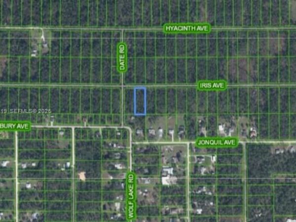 1141 Iris Ave , Sebring, FL 33875