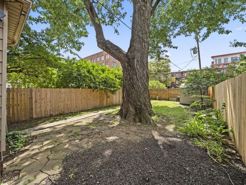 951 Mount Pleasant Avenue, Columbus, OH 43201 Photo 45