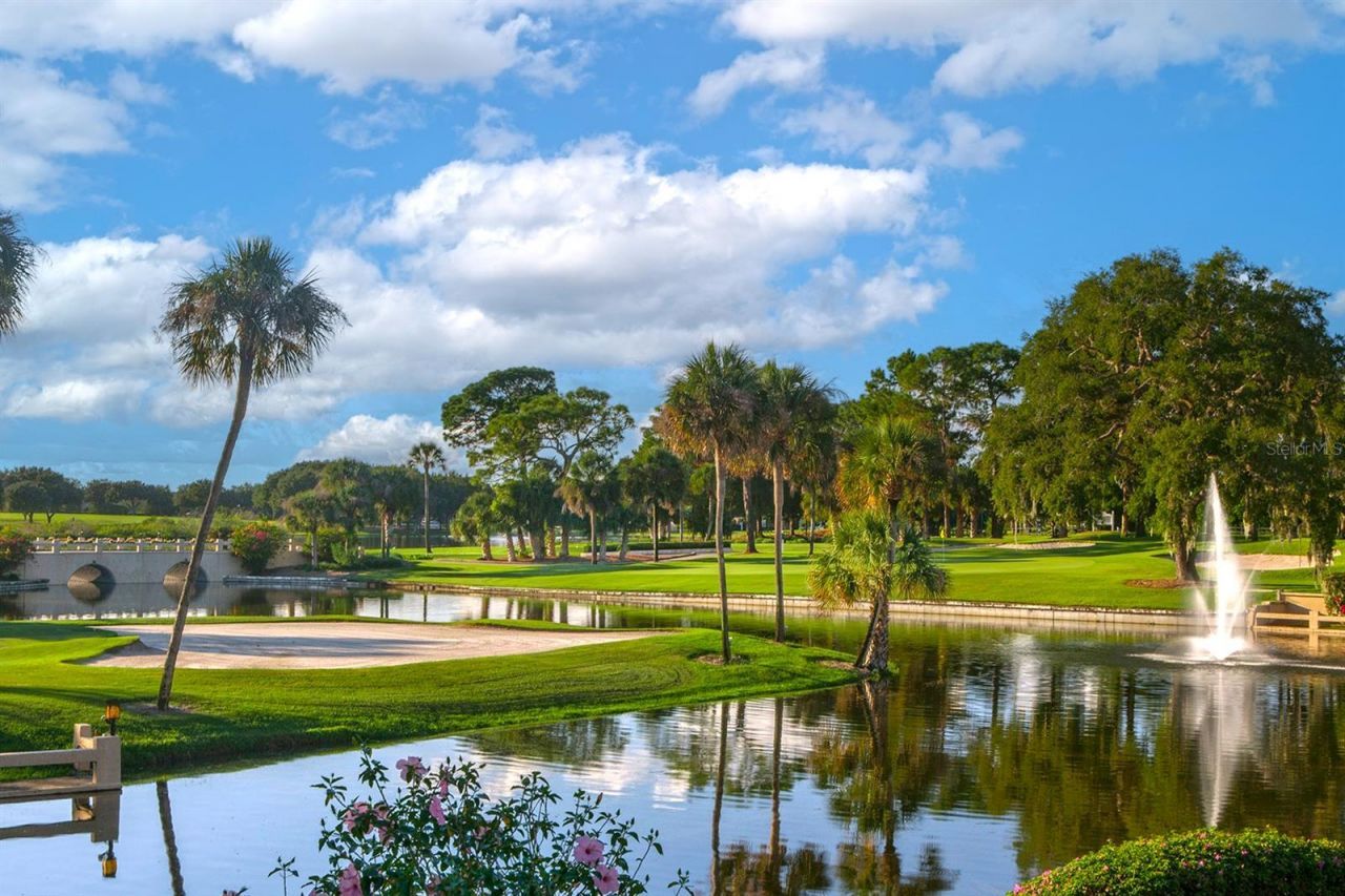 9939 Santa Barbara Court, Howey in the Hills, FL 34737 Photo