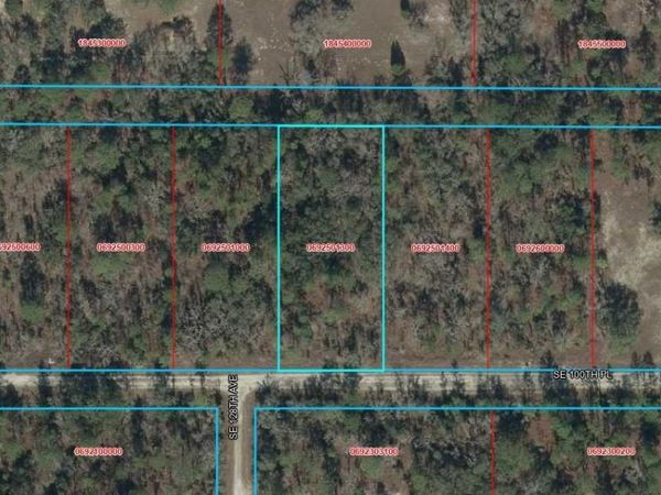 TBD SE 100TH PLACE , DUNNELLON, FL 34431