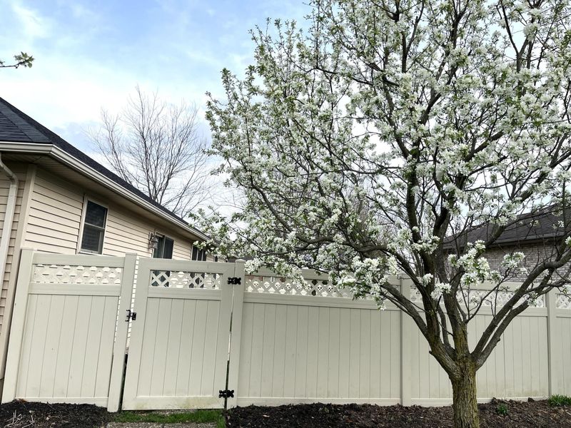 537 E Hoewisher Road, Sidney, OH 45365 Photo 46