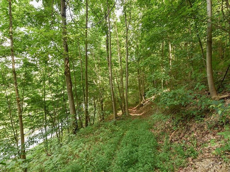 182 Sunfish Creek Road, Unit 1, Piketon, OH 45661 Photo 29