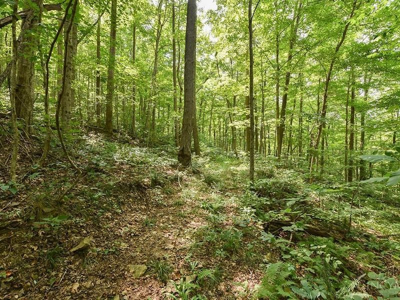 182 Sunfish Creek Road, Unit 1, Newton Twp, OH 45661 Photo 3