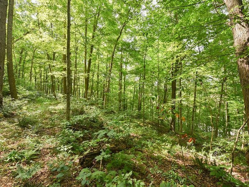 182 Sunfish Creek Road, Unit 1, Piketon, OH 45661 Photo 31
