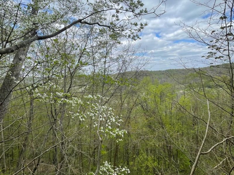 182 Sunfish Creek Road, Unit 1, Piketon, OH 45661 Photo 53