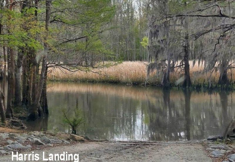659 Harris Landing Rd. Photo 39