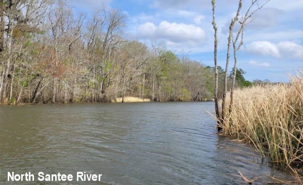 659 Harris Landing Rd. Photo 42