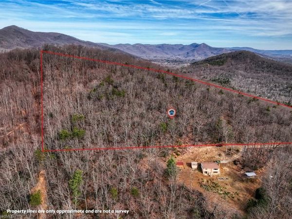 TBD Ivy Green Trail , Lowgap, NC 27024