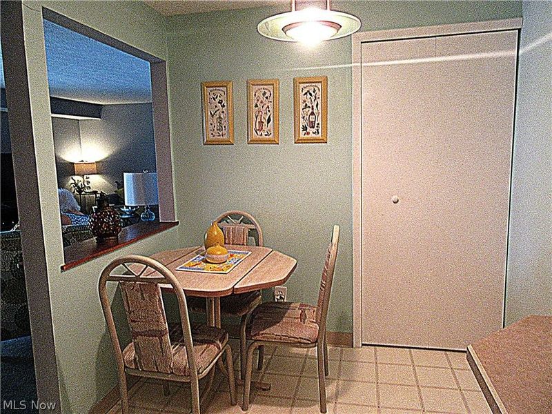 9660 Cove Drive , Unit F19, North Royalton, OH 44133 Photo 11