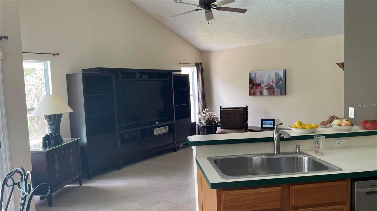 28719 Raleigh Place, Wesley Chapel, FL 33545 Photo