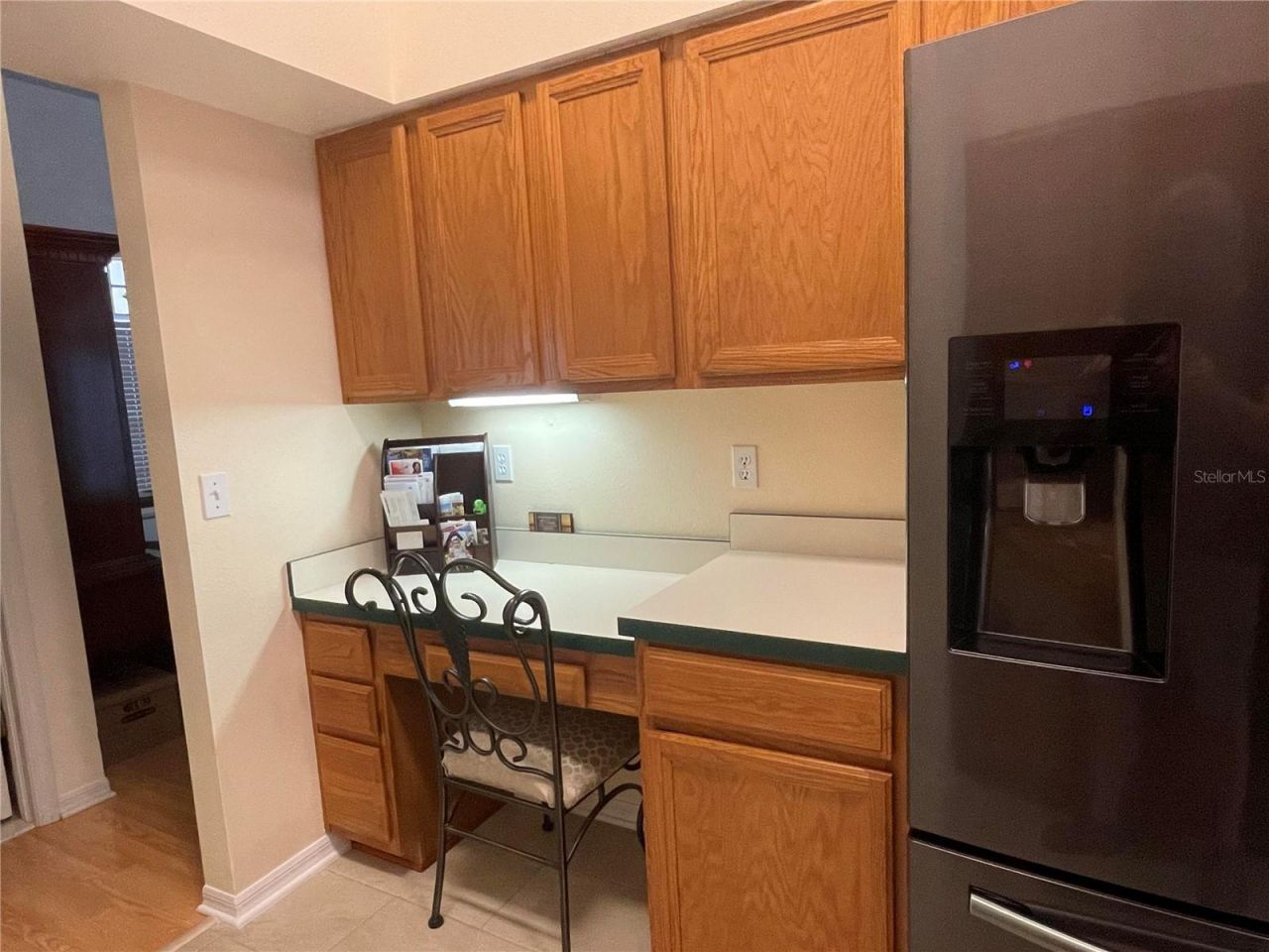28719 Raleigh Place, Wesley Chapel, FL 33545 Photo