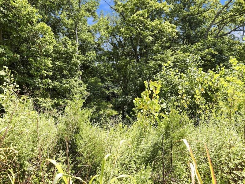1428 Wolfangel Road, Anderson Twp, OH 45255 Photo 76