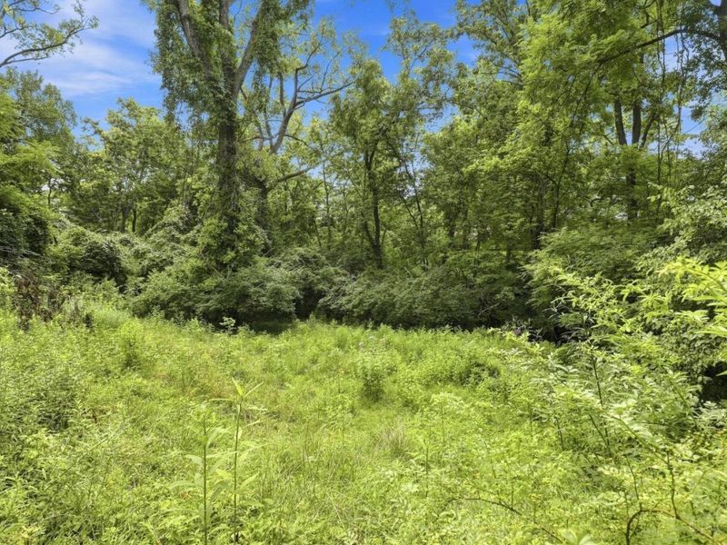 1428 Wolfangel Road, Anderson Twp, OH 45255 Photo 77