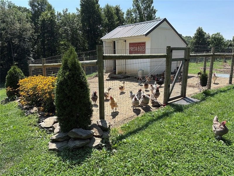 25601 Ridge Road, East Rochester, OH 44625 Photo 33