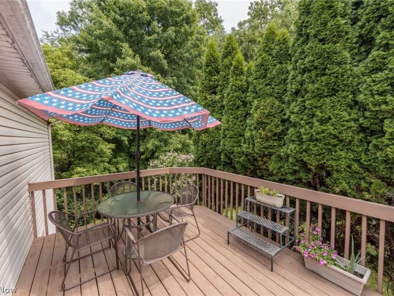 3671 Dornoch Drive, Wooster, OH 44691 Photo 46
