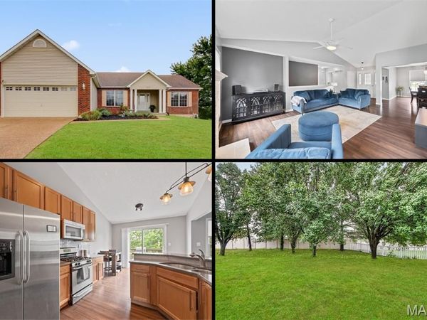 130 Wild Pigeon Ct, O'Fallon, MO 63368