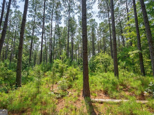 0 Jabez Poyner Road, Carlton, GA 30627