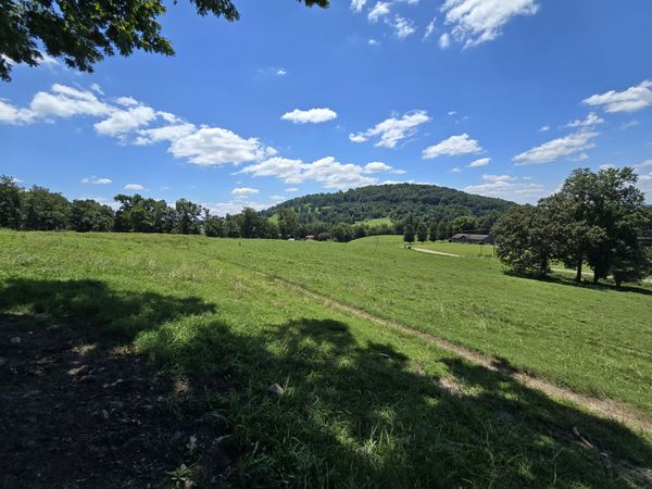 15.09 Acre Highway 92, Rutledge, TN 37861
