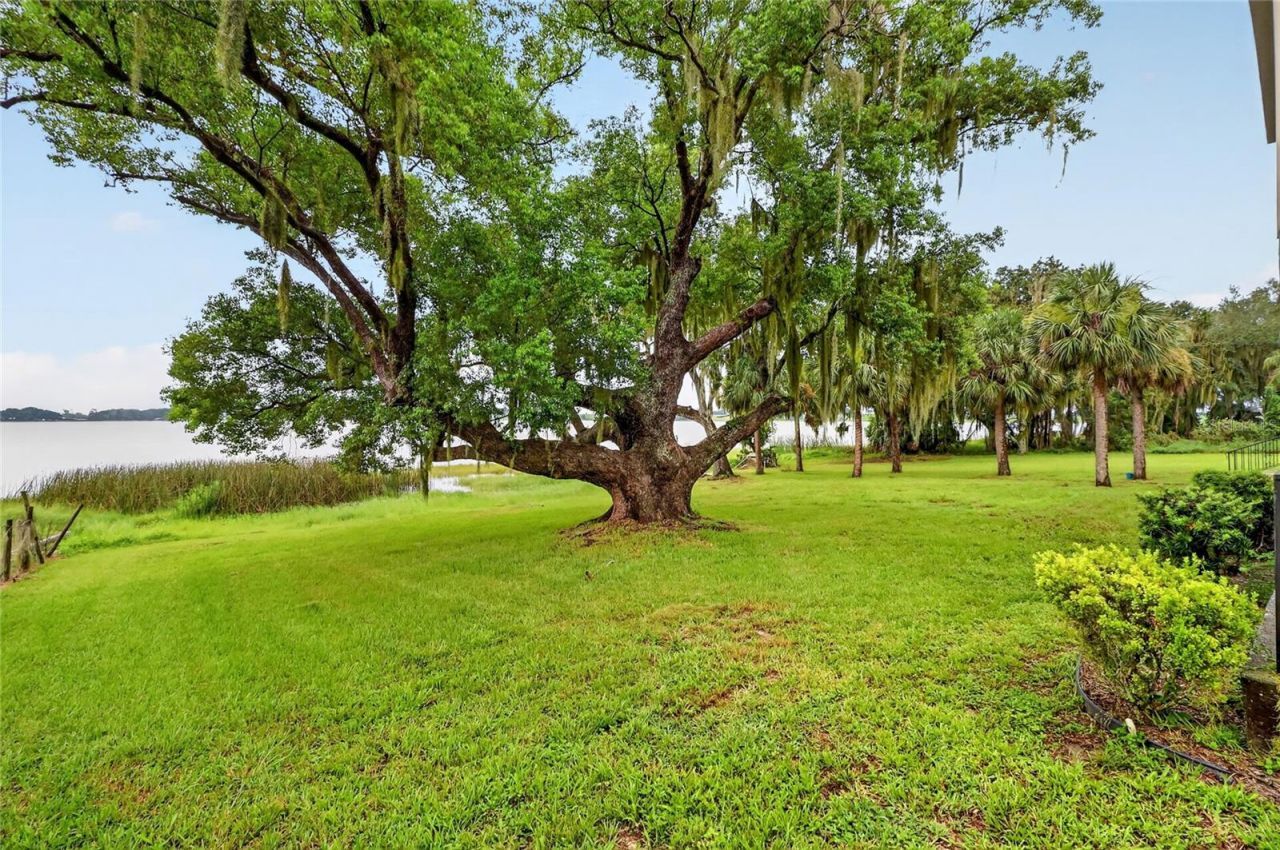 767 Edison Road, Auburndale, FL 33823 Photo